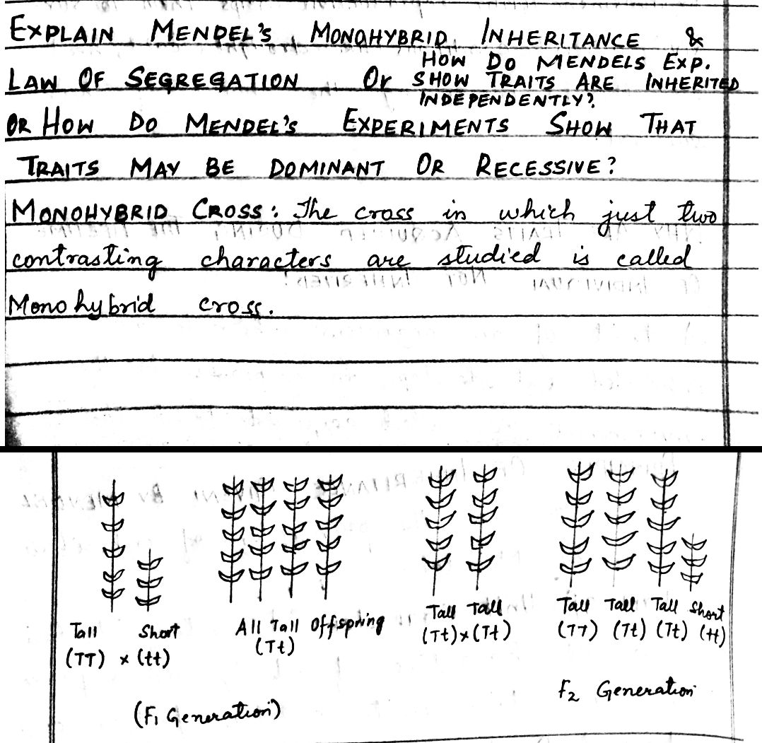 Heredity and evolution class 10 science handwritten notes Jkbose Cbse Ncert solutions Pdf download Question answers class 10 science chapter 9 notes