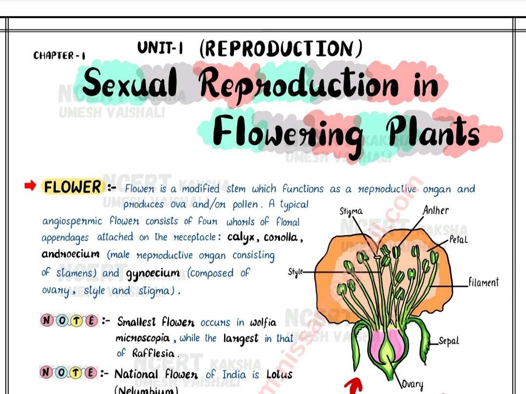 Class 12 Biology JKBOSE Handwritten Zoology Botany Notes
Zoology handwritten notes
Botany Handwritten Notes
Pdf download