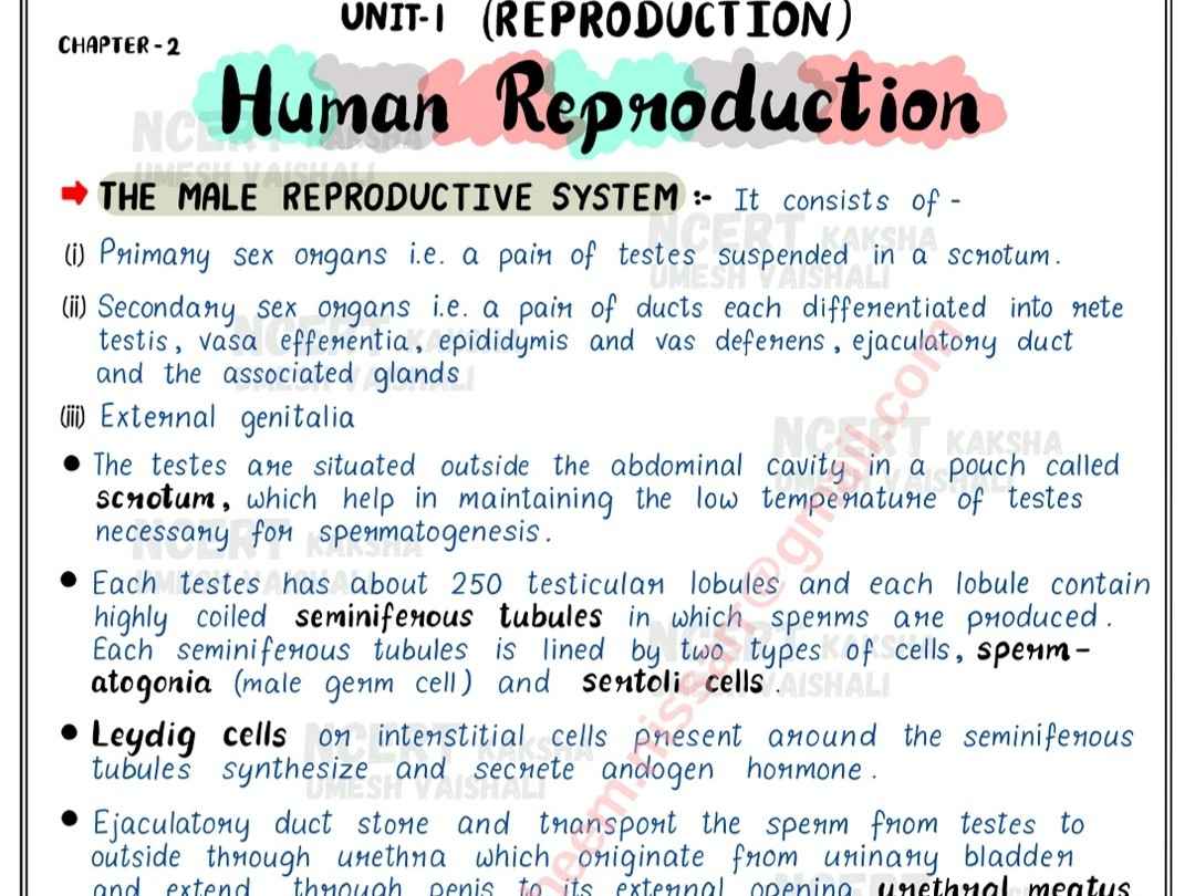Class 12 Biology JKBOSE Handwritten Zoology Botany Notes
Zoology handwritten notes
Botany Handwritten Notes
Pdf download